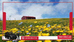 جولة كاياباشي