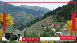 جولة زيغانا