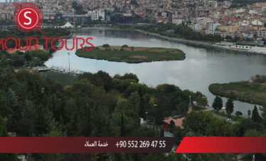 الميني تورك جبل البيرلوتي عرض الدلافين