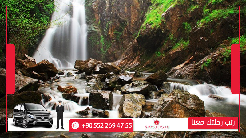 رحلات يومية