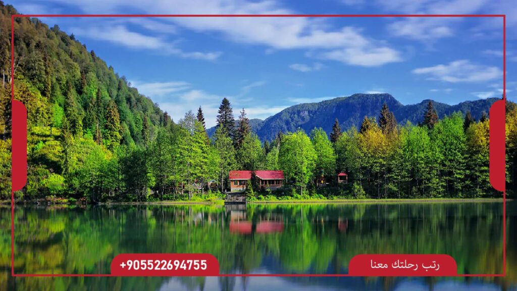 رحلة مدينة ارتفين