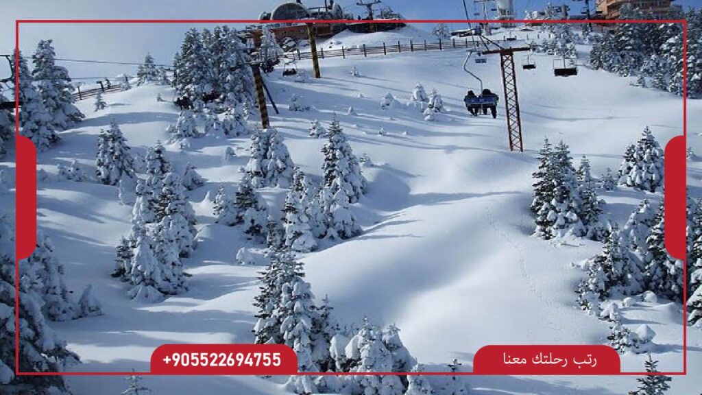 مدينة بورصة