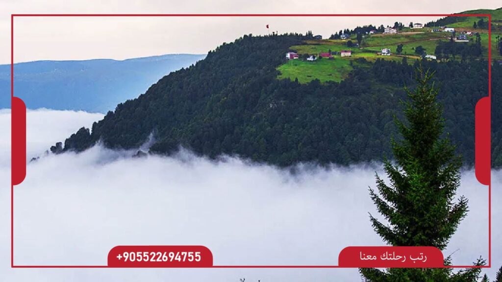 مرتفعات حيدر نبي