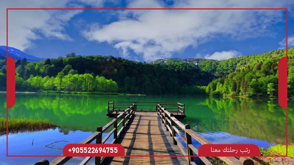 مدينة ارتفين